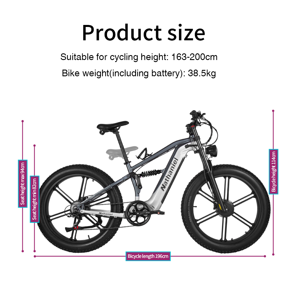 Nathaniel SYR09 Elektrofahrrad – Dual Motor Ebike Kit 2000W Bewertung und Preis