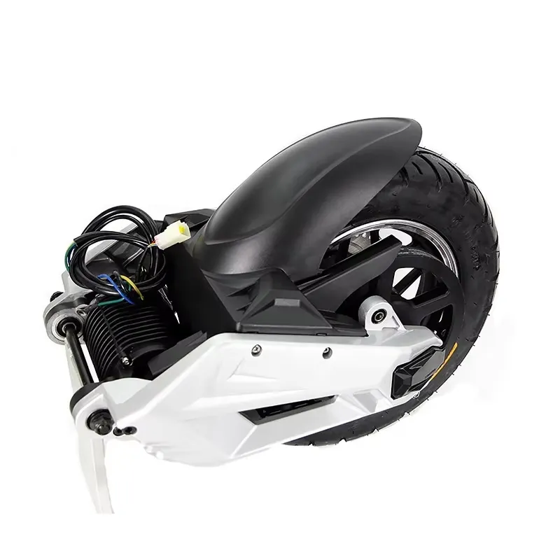 2026 Neu, Hochwertig, QSMOTOR  – Mid Drive Conversion Kit 1000W Bewertung und Preis